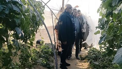 تدشين مشروع زراعي يضم 4 آلاف نخلة على مساحة 200 فدان بالوادي الجديد