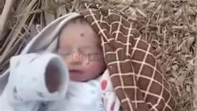 الثاني خلال شهر.. العثور على رضيع مجهول الهوية في المنيا