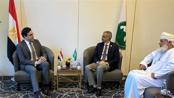 جانب من اللقاء 