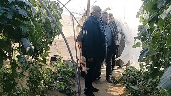 جانب من جولة محافظ