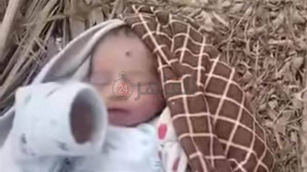 الطفل الرضيع