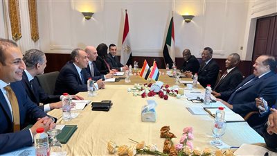 وزير الخارجية يؤكد دعم مصر الكامل للسودان ومؤسساته الوطنية