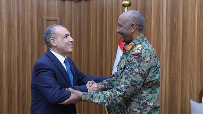 بتوجيهات من السيسي.. وزير الخارجية يلتقي البرهان في السودان