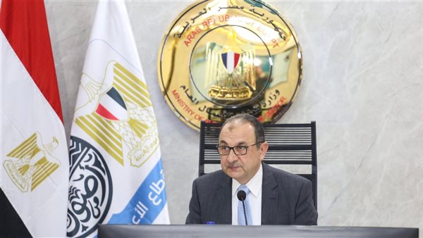 وزير قطاع الأعمال