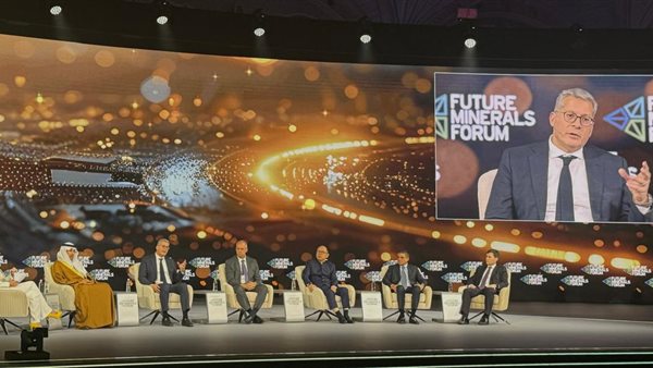 وزير البترول 