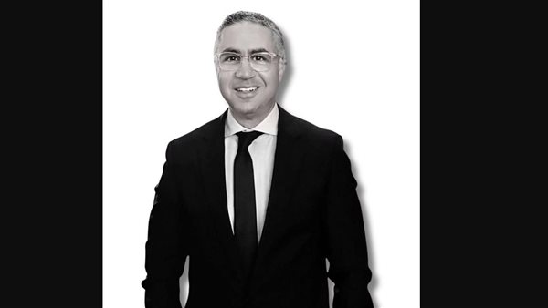 المهندس محمد السيد