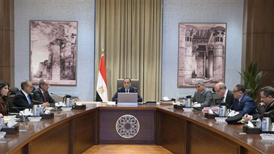 رئيس الوزراء يكلف بإعداد خطة لإنهاء إجراءات وصول السائحين إلى المطارات المصرية