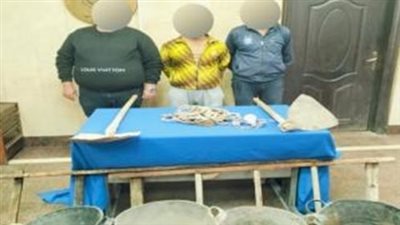 ضبط 5 أشخاص بتهمة التنقيب عن الآثار في الجمالية بالقاهرة