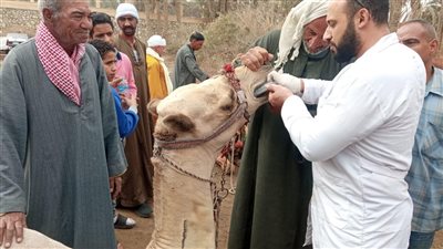الزراعة تطلق قافلة مجانية لعلاج الحيوانات الأليفة بمنطقة سقارة الأثرية
