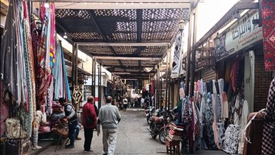 حملة مكثفة لرفع الإشغالات بشوارع الأقصر.. وضبط 15 مخالفة