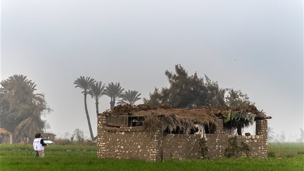  مؤسسة أبو هشيمة