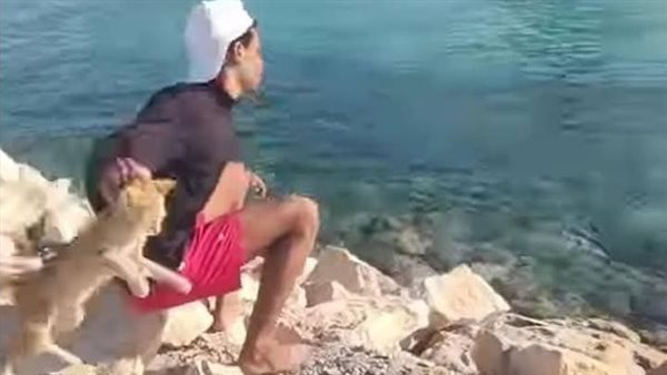 شخص يلقي قطة في البحر