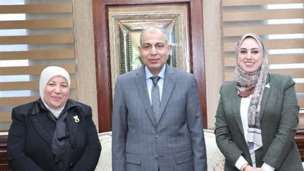 محافظ المنيا