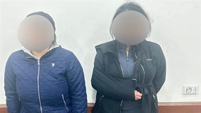 الداخلية تكشف حقيقة ادعاء سيدة بتعرضها للاعتداء لإنقاذها الكلاب الضالة بالإسكندرية: محاولة لكسب التعاطف