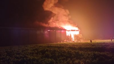 الدفع بـ13 سيارة إطفاء للسيطرة على حريق ثلاجة بقرية أجهور الصغرى بالقناطر الخيرية |صور 