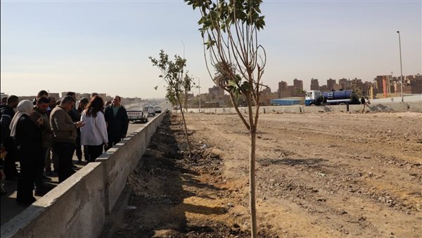 تشجير مناطق على الطريق