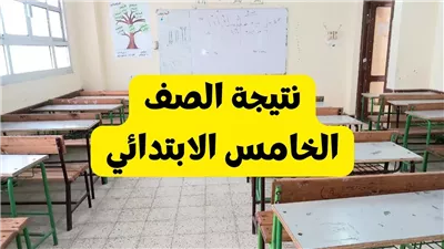 بالاسم.. نتيجة الصف الخامس الابتدائي الترم الأول 2025 في محافظة الأقصر