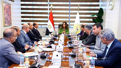 وزيرة التنمية المحلية تتابع الموقف التنفيذي لعدد من المشروعات الجارية بالمحافظات مع الجهاز المركزي للتعمير