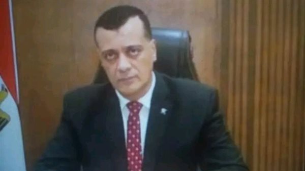 الدكتور محمد السيد