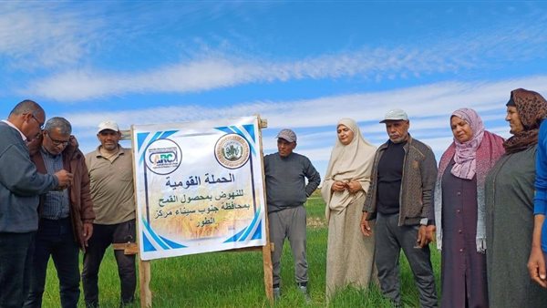 انطلاق الحملة القومية