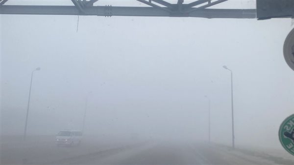 شابورة أرشيفية 