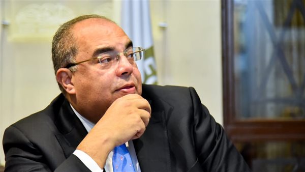 الدكتور محمود محيي