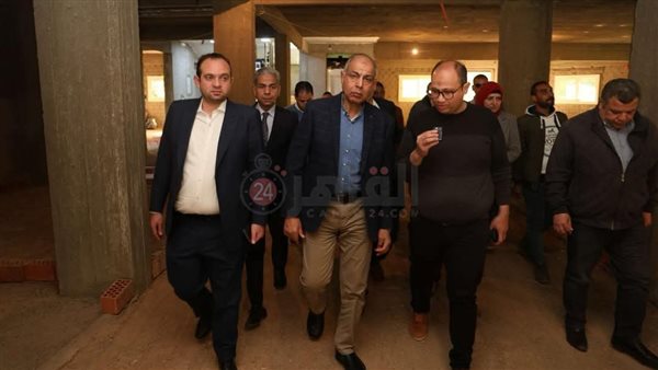 محافظ المنيا