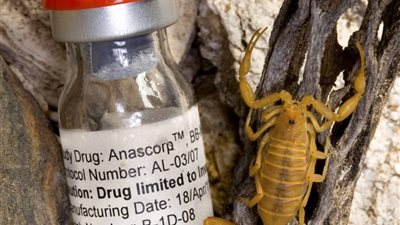 “الصحة” تحيل العاملين بالوحدة الصحية بالنجيلة للتحقيق بسبب مصل العقرب