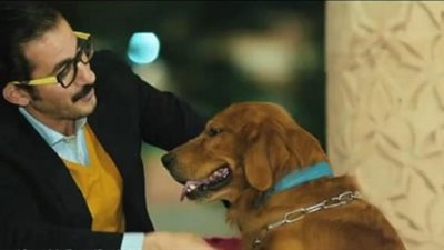 أحمد حلمي عن الكلب البلدي: مأصل وغلبان .. فيديو