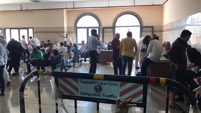 في اليوم الثالث.. 40 طلباً للترشح لانتخابات مجلس النواب في القليوبية