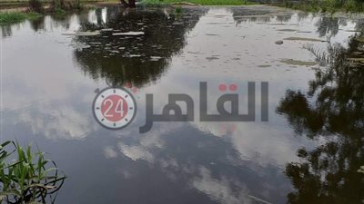 “محليات المنوفية” تطالب المواطنين بإخلاء منازل وأراضي طرح النهر بسبب الفيضان