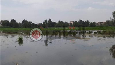 رئيس مدينة المحمودية: منسوب المياه منخفض والأوضاع مستقرة حتى الآن (صور)