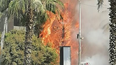 حريق هائل بفيلا وعدة منازل في محيط منزل عمر القماطي عضو مجلس الشيوخ (صور)