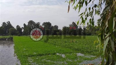 متحدث الري لـ”القاهرة 24″: 13 محافظة مهددة بالفيضان.. واتخاذ كافة الإجراءات لحماية الأرواح