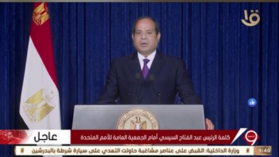 السيسي: لم يعد من المقبول أن تظل قرارات مجلس الأمن في مجال مكافحة الإرهاب دون تنفيذ فعال