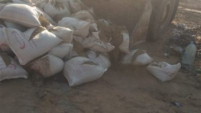 ضبط وإعدام 52 طن كمون غير صالح للاستهلاك الآدمي بالشرقية (صور)