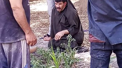 ضبط عامل نظافة حاول اغتصاب طفلتين داخل أرض زراعية بالمحلة