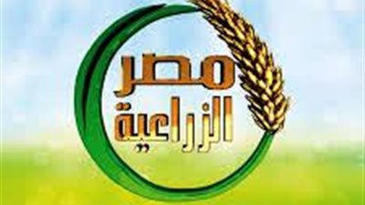 عزوز مشرفا وفتح الله مديرا تنفيذيا.. تغييرات جديدة في قناة مصر الزراعية (خاص)