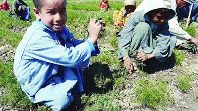 لم يعطوهم رواتب.. تفاصيل استغلال 16 طفلًا داخل مطعم شهير في مدينة نصر