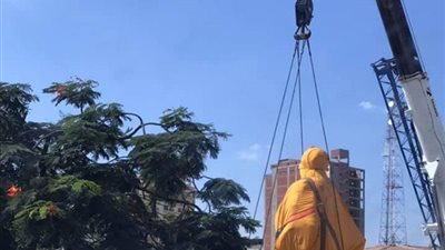 تفاصيل نقل تمثال ديليسبس من بورسعيد لمتحف قناة السويس بالإسماعيلية