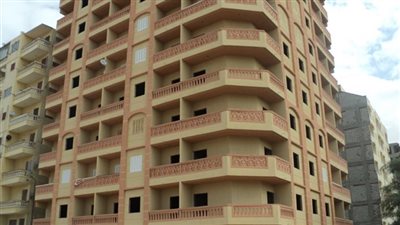 توفير قاعدة بيانات والحد من حالات التلاعب.. أبرز إيحابيات قرار استخراج رقم قومي للعقارات