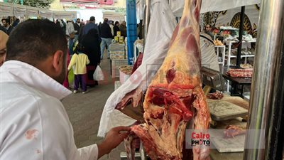 الإحصاء: انخفاض أسعار اللحوم والدواجن 3.5%.. والفاكهة بنسبة 5.1% خلال أبريل