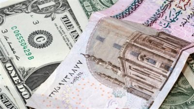 الدولار يواصل نزيفه أمام الجنيه بأكثر من 10 قروش في عدد من البنوك المصرية