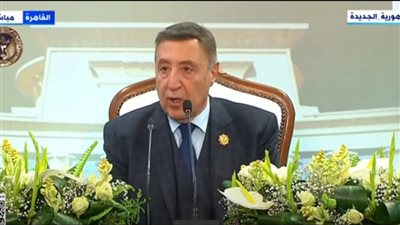 رئيس المحكمة الدستورية: استحداث منصة رقمية لتبادل الأحكام القضائية بين عدد من دول إفريقيا