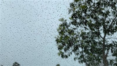 أمطار خفيفة وشبورة مائية.. الأرصاد تكشف تفاصيل حالة الطقس اليوم في مصر | بث مباشر