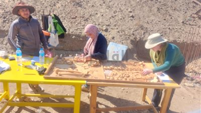 الآثار تبدأ أعمال الجرد لمخزن البعثة الألمانية الإيطالية بالمنيا 