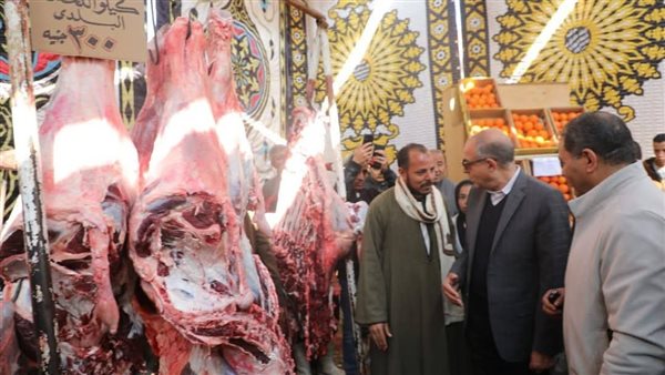 محافظ المنيا