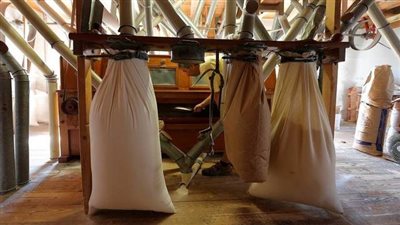 تراجع إنتاج الدقيق المطحون يهبط بأرباح مطاحن ومخابز الإسكندرية 