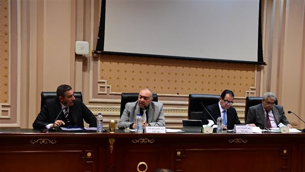 جانب من جلسة النواب