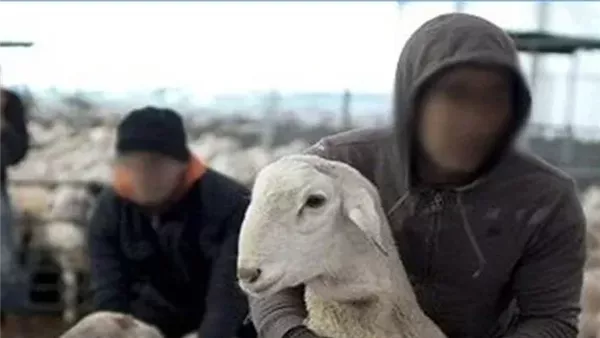 سرقة - تعبيرية 